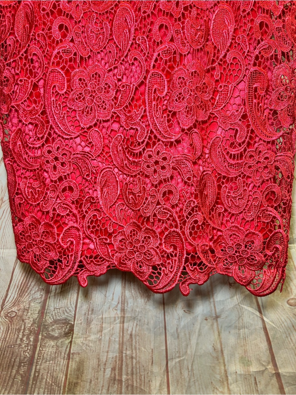 Sténay Coral Red Guipure Lace Sheath Dress Scalloped Elegant Cocktail Chic Midi - Picture 7 of 9